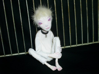 Авторская кукла. Автор: Кимора (Kimora). Кукла "Крыса белая лабораторная"