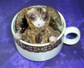 Авторская кукла. Автор: Кимора (Kimora). Кукла &quot;Кофейный морок&quot;