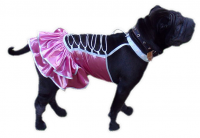 Платья для собак