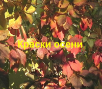 Краски осени