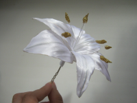 Конкурсная работа 13