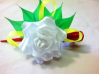 Конкурсная работа 10