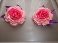 Конкурсная работа 17