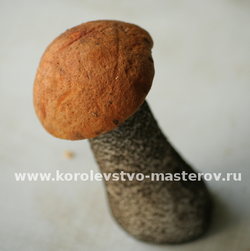 гриб Подосиновик